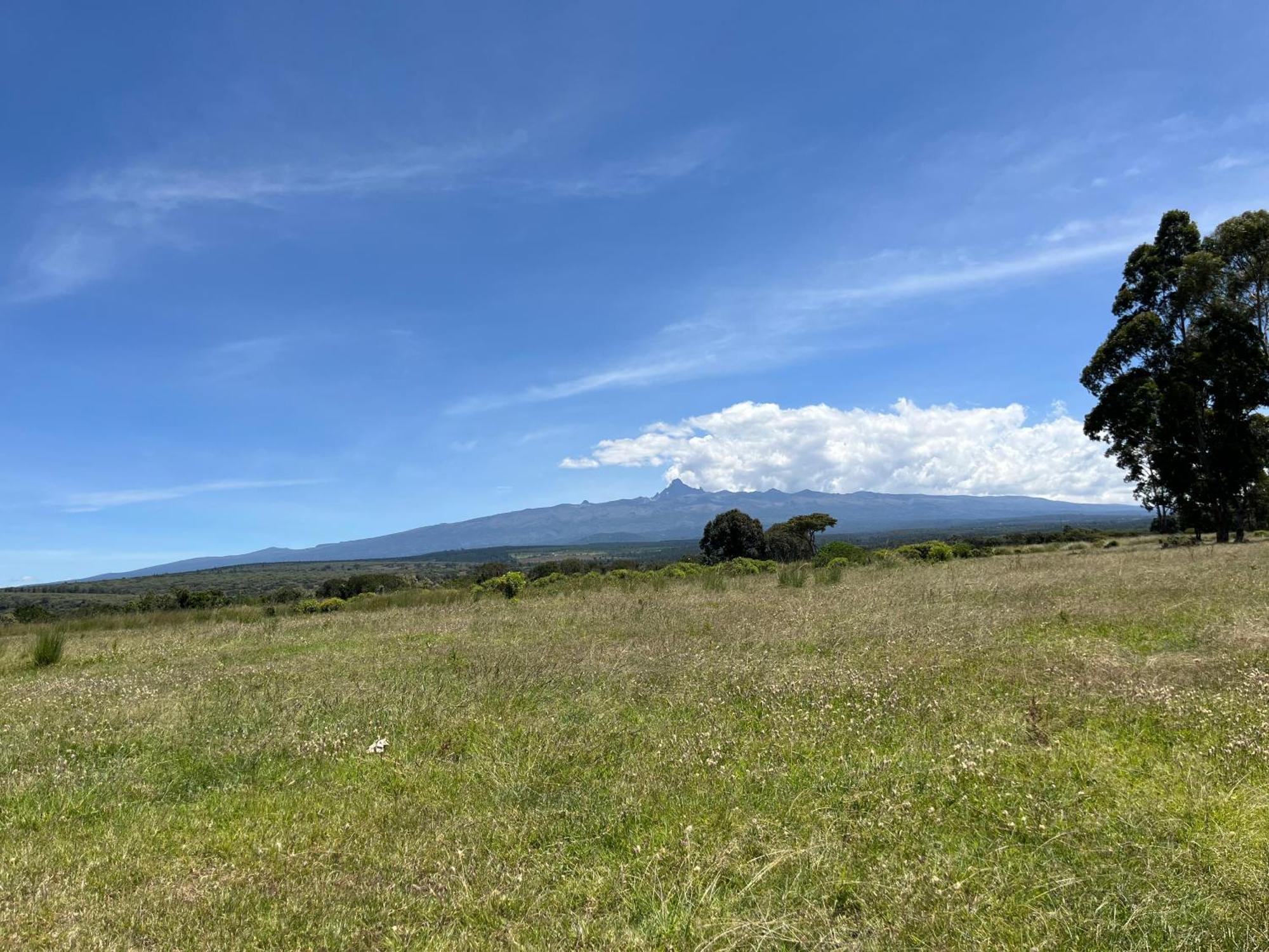 Rafiki House Hotel Nanyuki Exterior foto